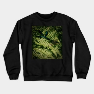 I FLY TO YOU Crewneck Sweatshirt